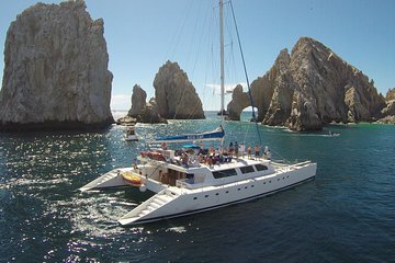 ecocat catamaran tours