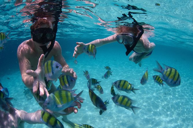 Snorkeling Lunch Cruise on a Multi-Level Boat